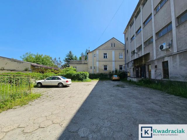 Lokal Krosno, ul. Henryka Sienkiewicza. Zdjęcie 22