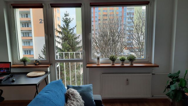 Mieszkanie 1-pokojowe Bydgoszcz Wyżyny, ul. Ogrody. Zdjęcie 3