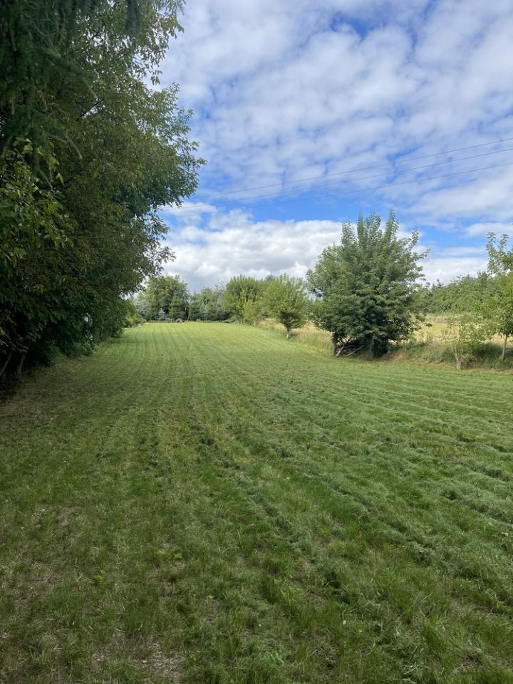 Działka rekreacyjna Miechów. Zdjęcie 7