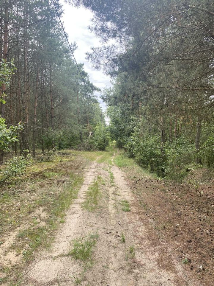 Działka rolno-budowlana Leonów. Zdjęcie 4