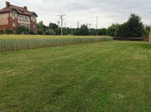 dom wolnostojący, 7 pokoi Zębowice, ul. Opolska. Zdjęcie 3