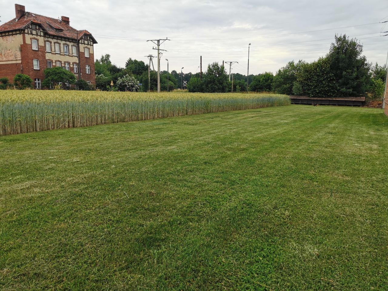 dom wolnostojący, 7 pokoi Zębowice, ul. Opolska. Zdjęcie 4