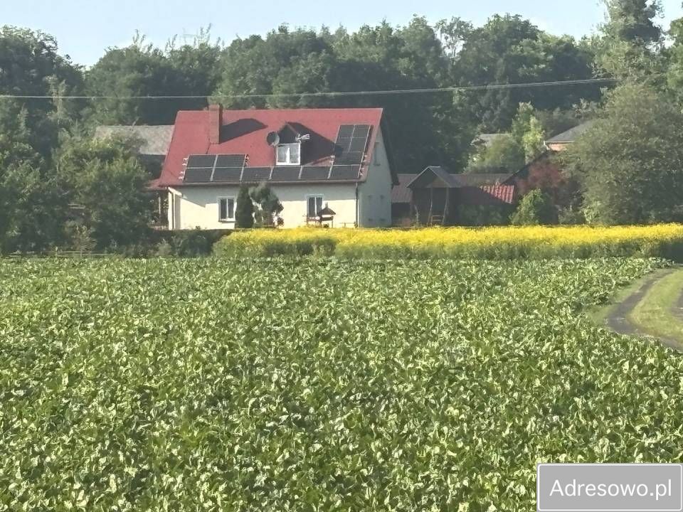 siedlisko Średnie Małe. Zdjęcie 2