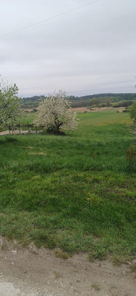 Działka budowlana Mikułowice. Zdjęcie 13