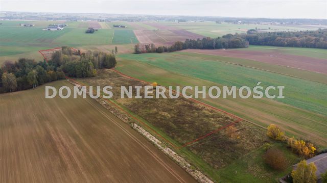 Działka budowlana Jasień. Zdjęcie 1