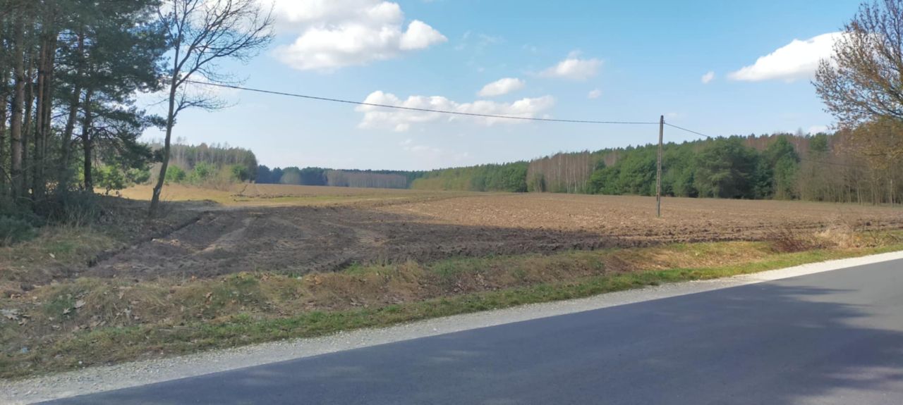 Działka rolna Przerąb. Zdjęcie 1