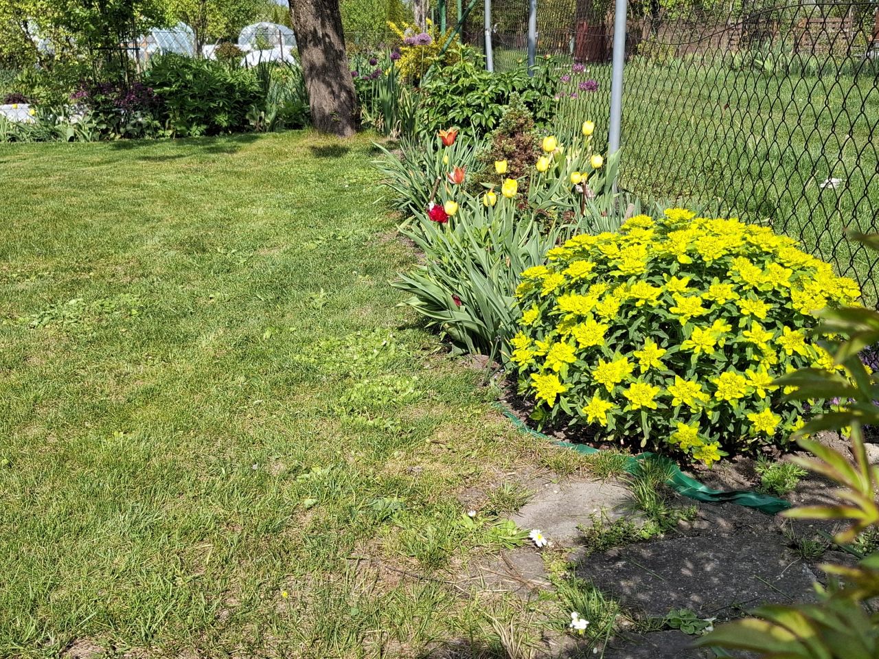 Działka rod Chełm, ul. Przemysłowa. Zdjęcie 9