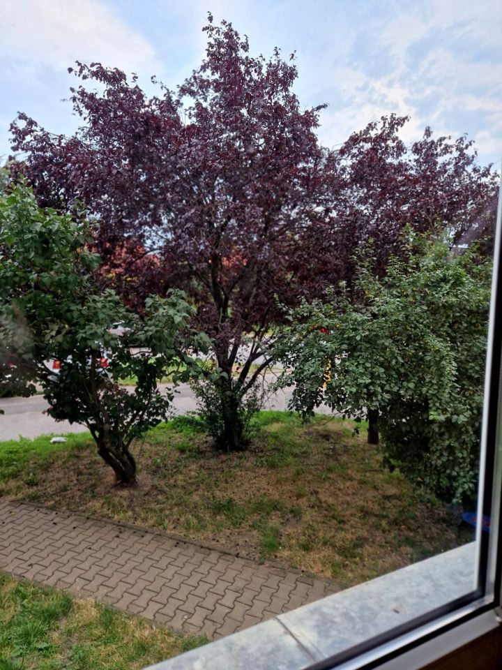 Mieszkanie 3-pokojowe Wrocław Psie Pole, ul. Chorwacka. Zdjęcie 5