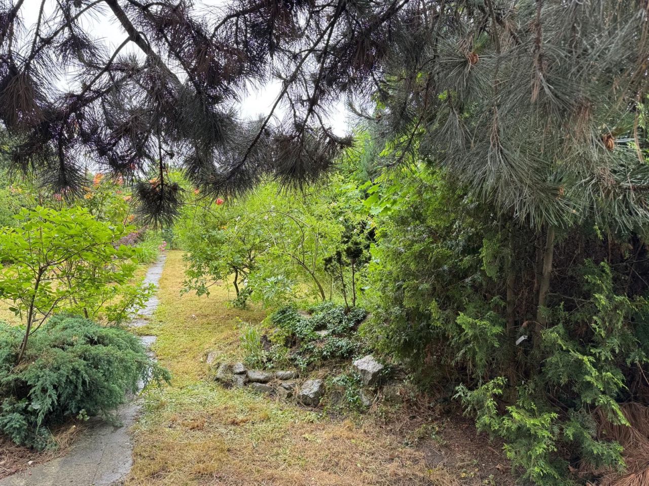 Działka rod Wrocław Krzyki. Zdjęcie 6