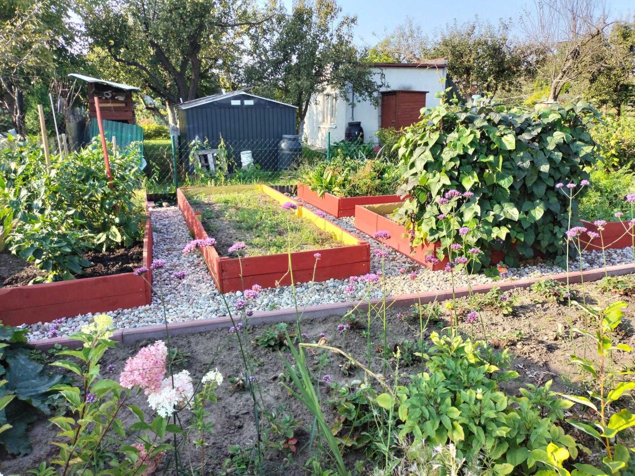 Działka rod Pruszcz Gdański, ul. Przemysłowa. Zdjęcie 5