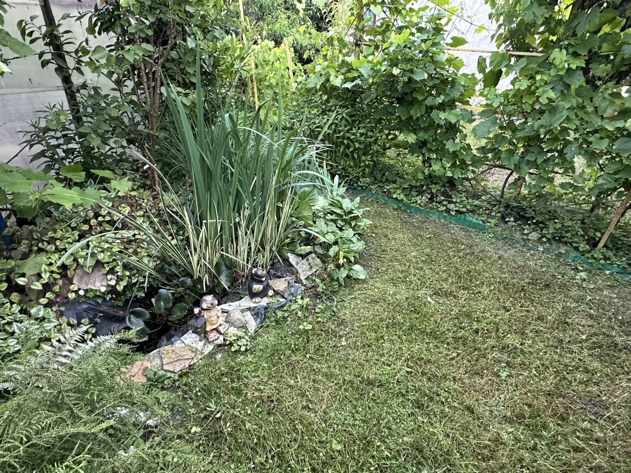 Działka rod Rawicz, ul. Życzliwa. Zdjęcie 4