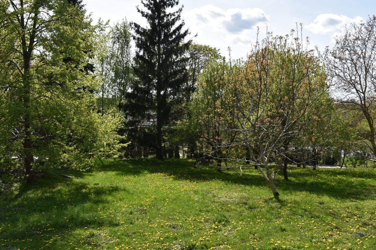 dom wolnostojący, 5 pokoi Ścienne. Zdjęcie 43