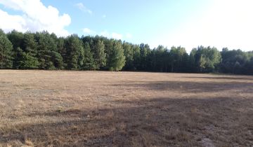 Działka budowlana Franciszków, ul. Jarzębinowa