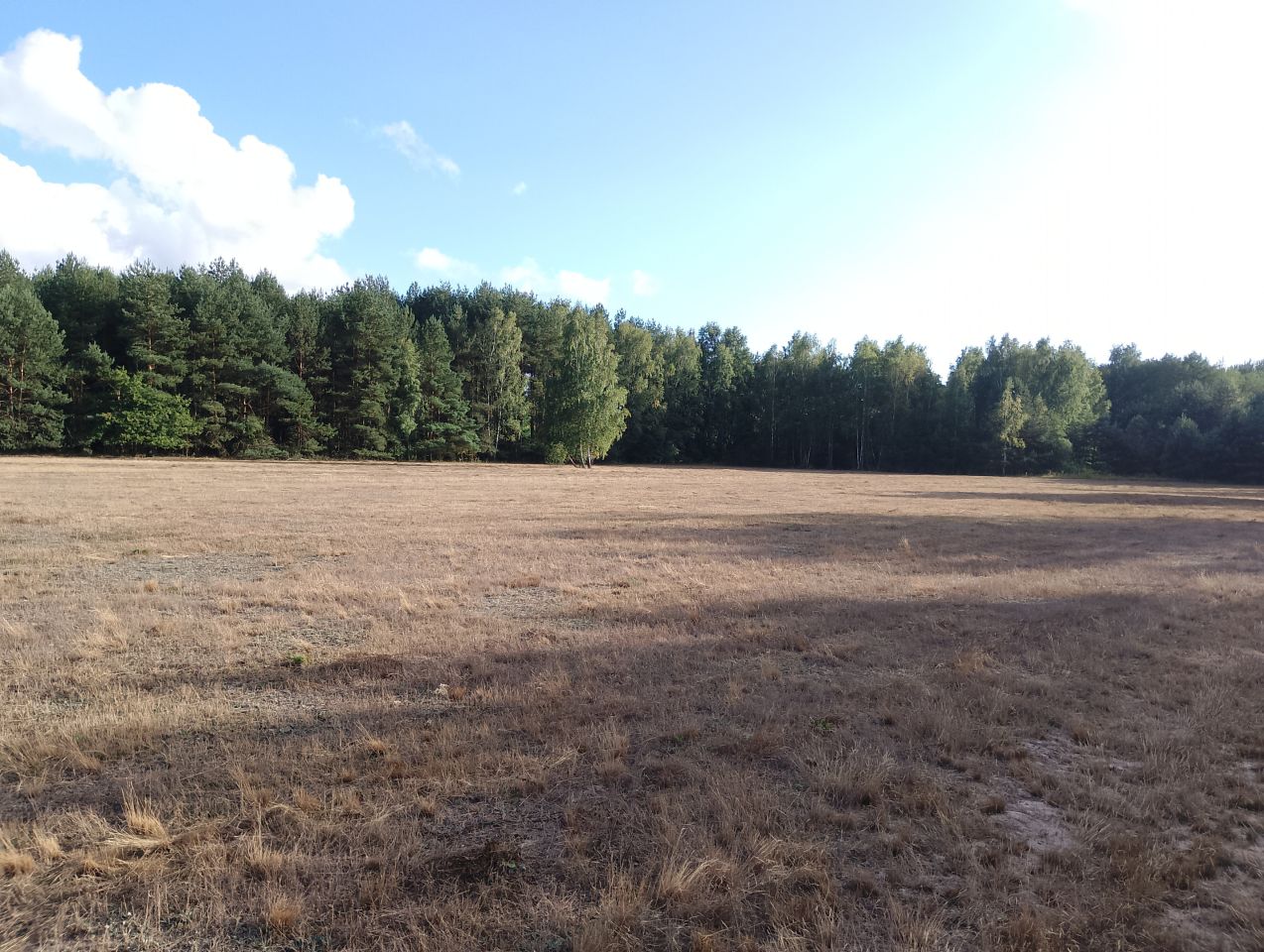 Działka budowlana Franciszków, ul. Jarzębinowa. Zdjęcie 2