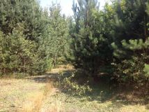 Działka budowlana Helenów. Zdjęcie 3