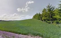 Działka rolna Cerkiewnik. Zdjęcie 3