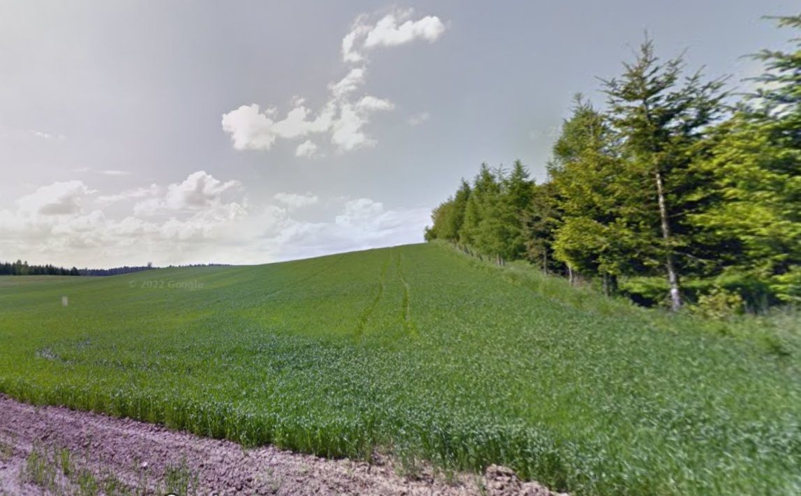 Działka rolna Cerkiewnik. Zdjęcie 4