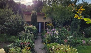 Działka rod Sosnowiec, ul. Krzysztofa Kamila Baczyńskiego