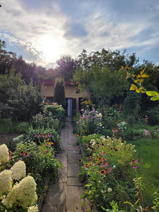 Działka rod Sosnowiec, ul. Krzysztofa Kamila Baczyńskiego. Zdjęcie 2