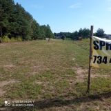 Działka budowlana Blok Dobryszyce, ul. Zielona. Zdjęcie 1