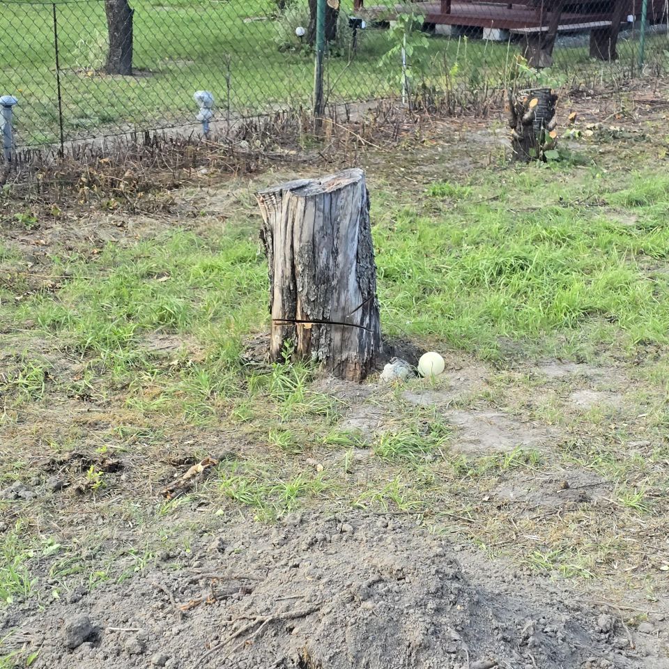 Działka rekreacyjna Piechcin. Zdjęcie 11