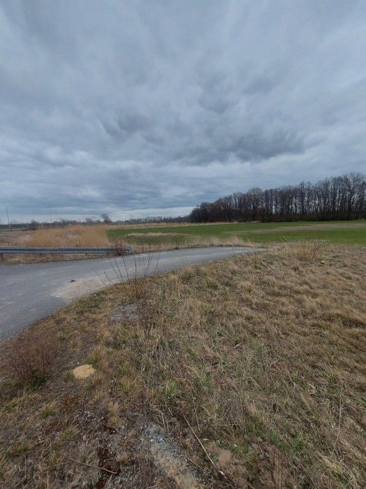 Działka rolna Gdańsk Olszynka, ul. Łanowa. Zdjęcie 3