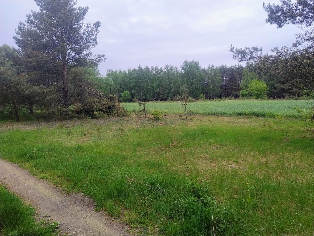 Działka budowlana Władysławowo. Zdjęcie 1