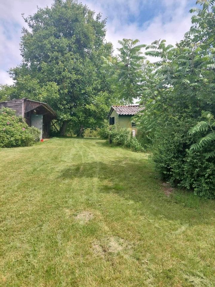 Działka rolno-budowlana Lasocin. Zdjęcie 5