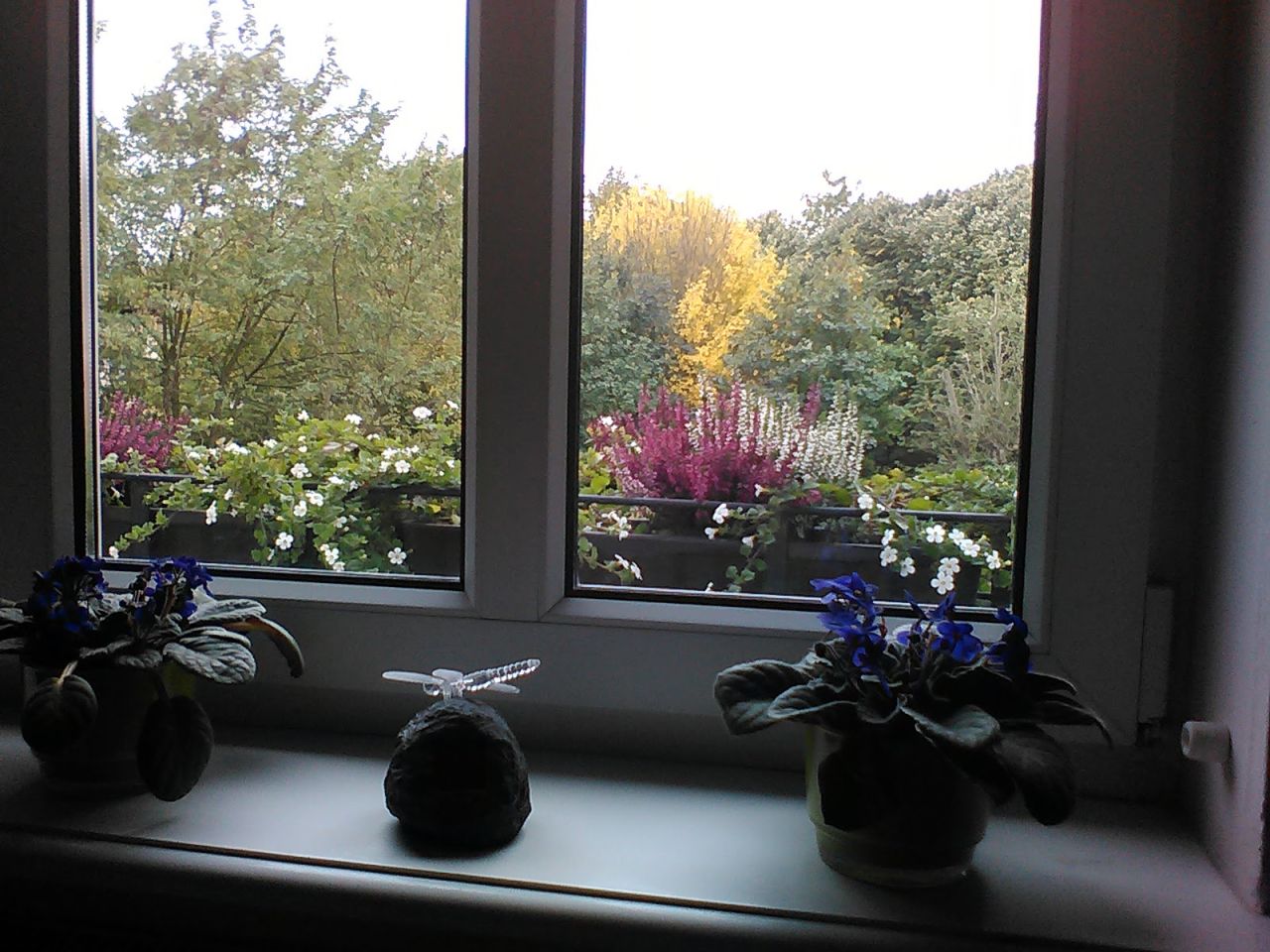 Mieszkanie 2-pokojowe Słupsk Centrum, ul. Teatralna. Zdjęcie 11