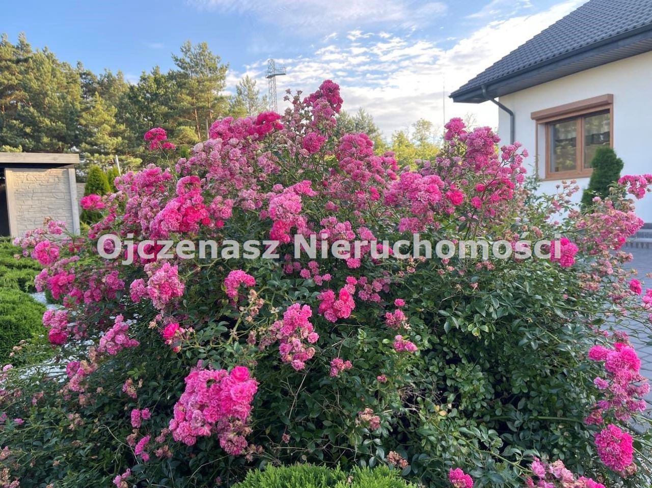 dom Zielonka. Zdjęcie 13