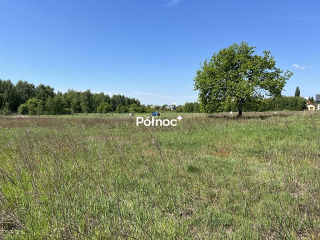 Działka rolno-budowlana Tymowa. Zdjęcie 17