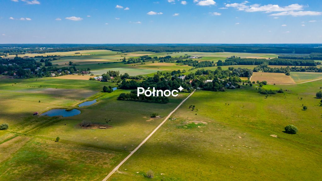Działka rolna Mieleszki-Kolonia. Zdjęcie 16