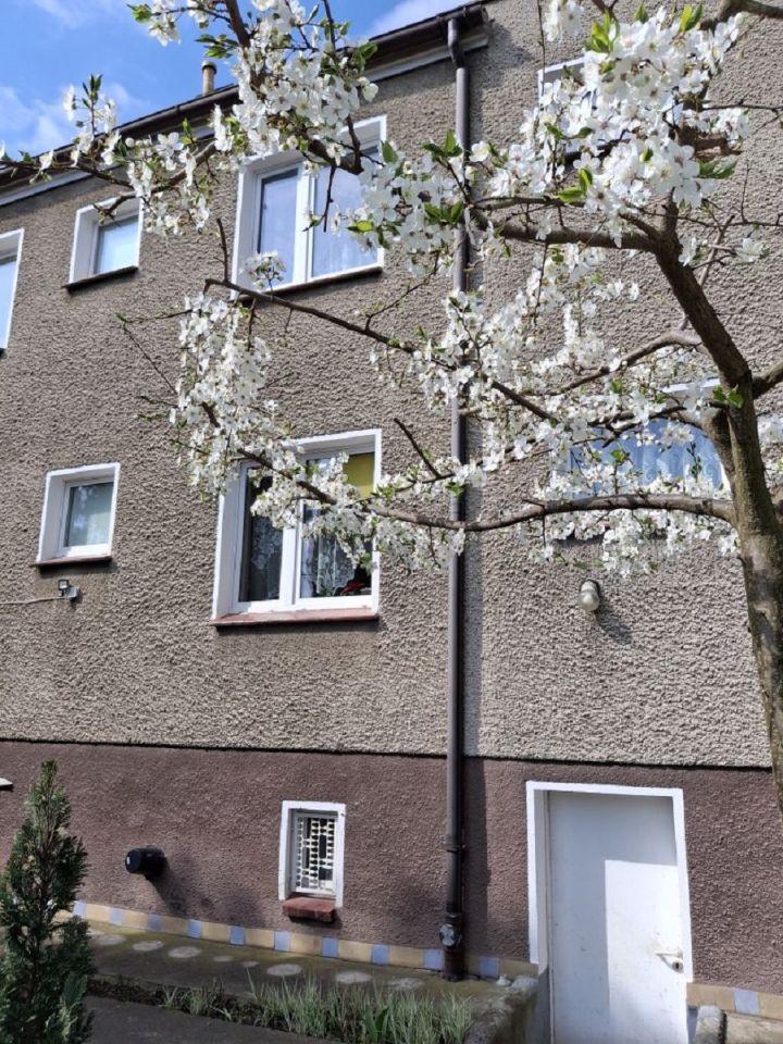 dom wolnostojący, 8 pokoi Wrocław Krzyki, ul. Radarowa. Zdjęcie 6