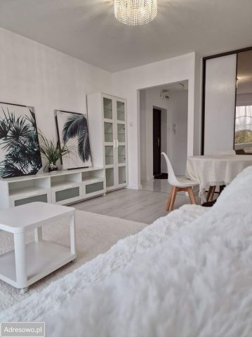 Mieszkanie 2-pokojowe Szczecin Śródmieście, ul. Gabriela Narutowicza. Zdjęcie 1