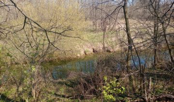 Działka rolna Nietulisko Małe