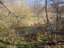 Działka rolna Nietulisko Małe. Zdjęcie 1