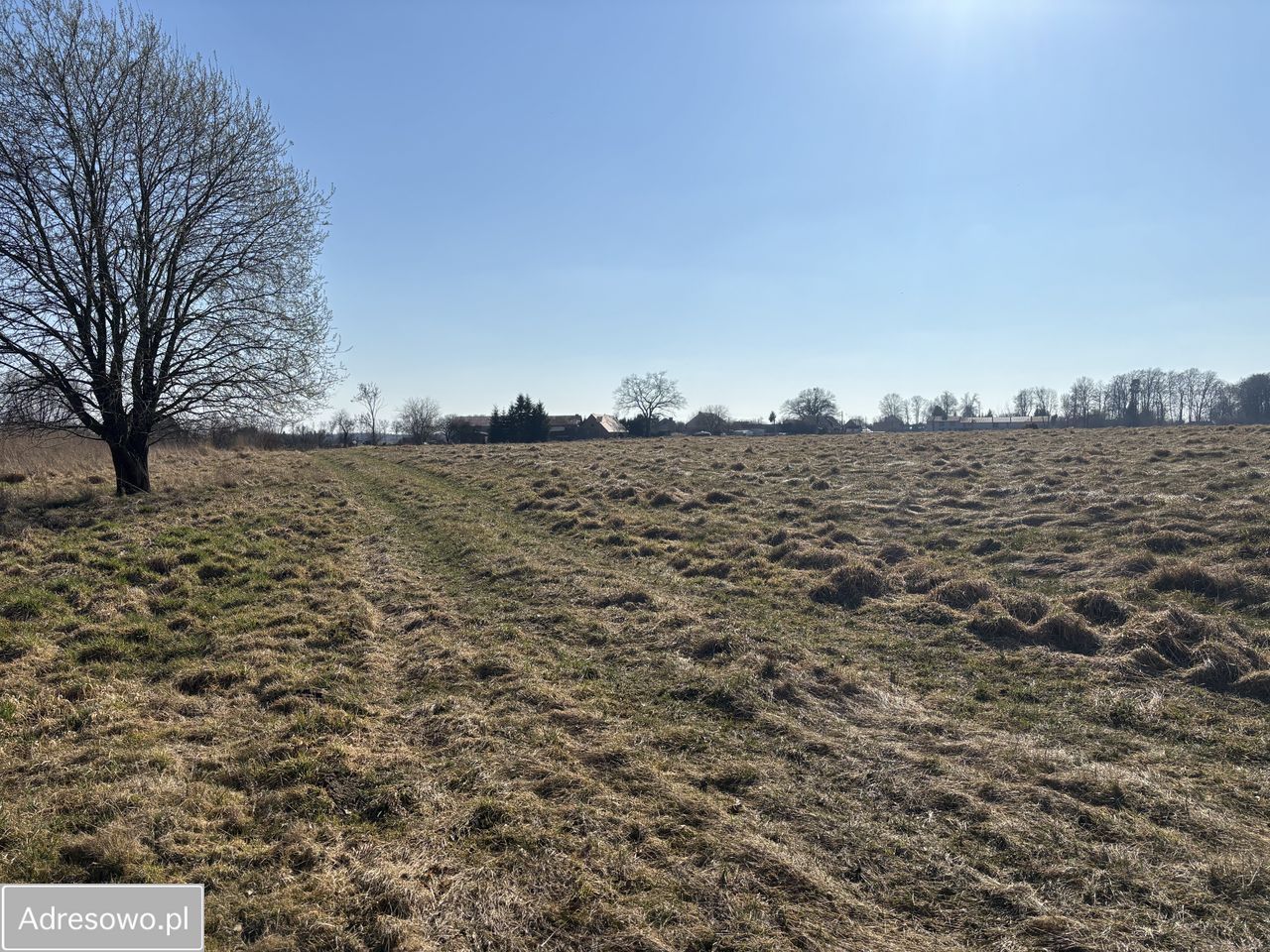 Działka inwestycyjna Modlimowo. Zdjęcie 1