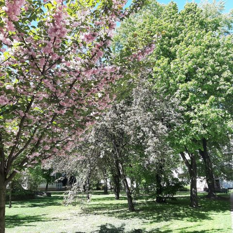 Mieszkanie 1-pokojowe Warszawa Śródmieście, ul. Stawki. Zdjęcie 1