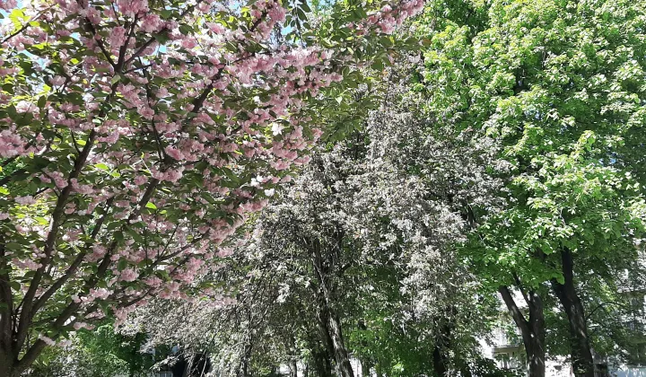 Mieszkanie 1-pokojowe Warszawa Śródmieście, ul. Stawki