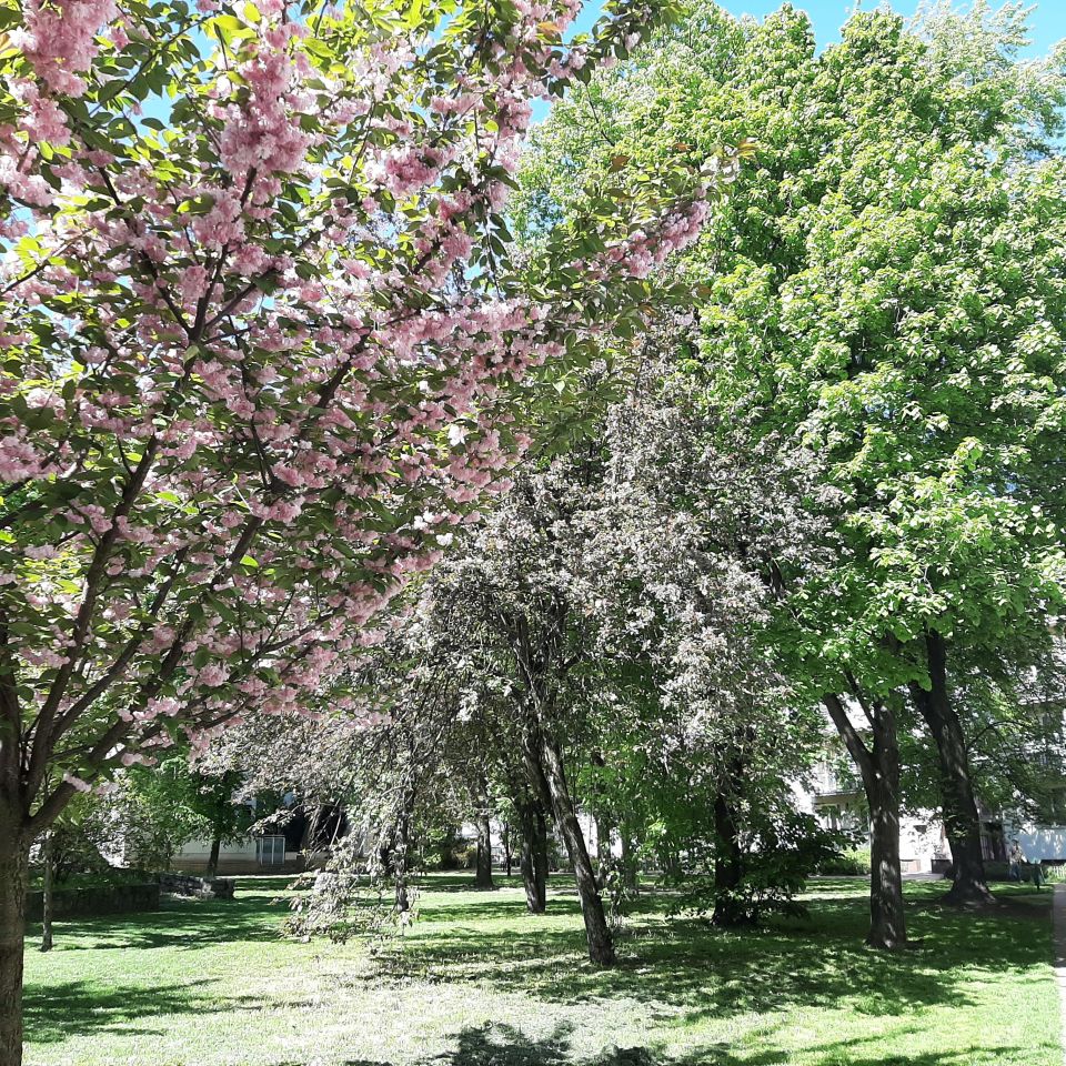 Mieszkanie 1-pokojowe Warszawa Śródmieście, ul. Stawki. Zdjęcie 1