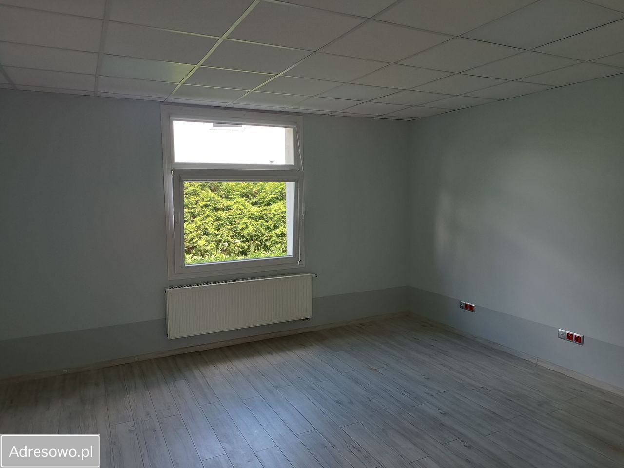 Biuro Osielsko, ul. Polna. Zdjęcie 6