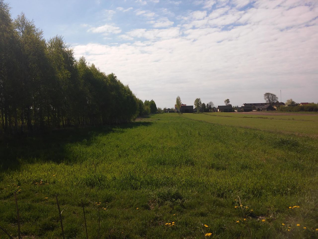 Działka rolno-budowlana Brzozowica Duża. Zdjęcie 5