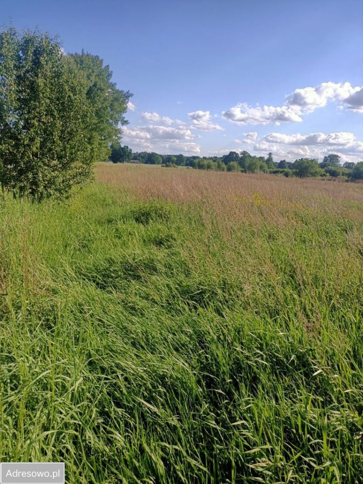 Działka rolno-budowlana Strzyżyna. Zdjęcie 1