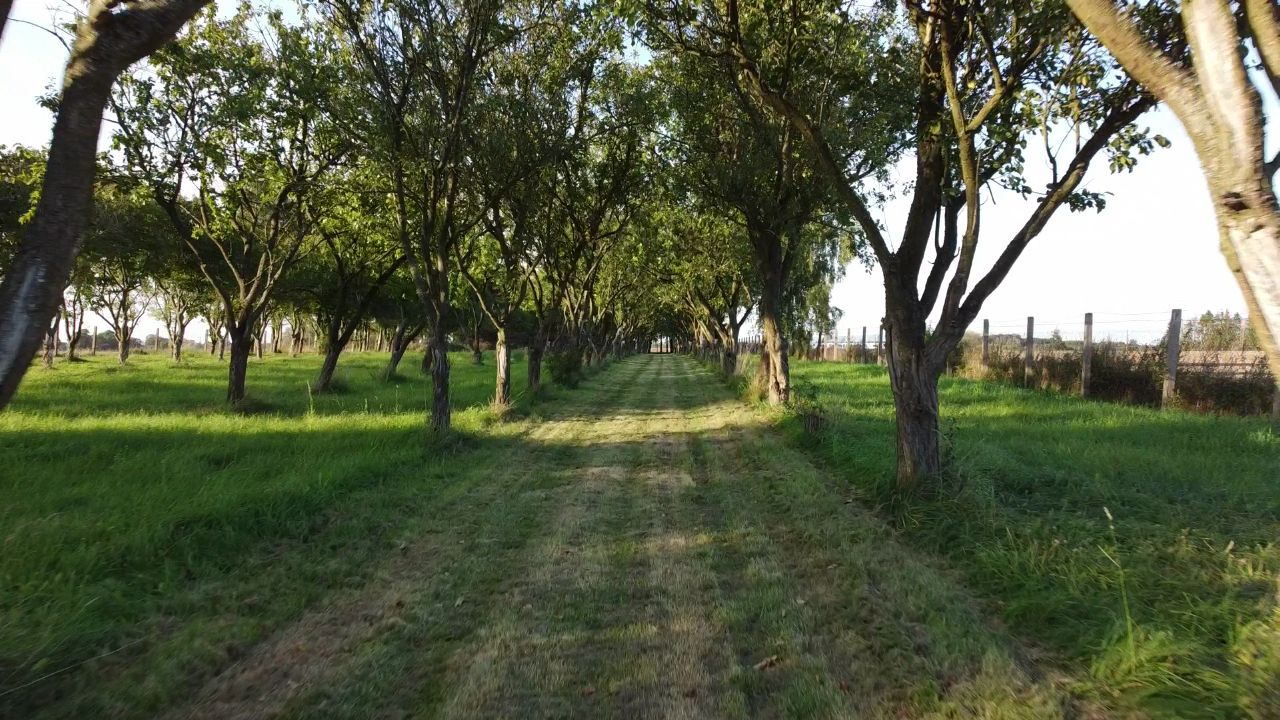 Działka rolno-budowlana Jarszewo. Zdjęcie 3