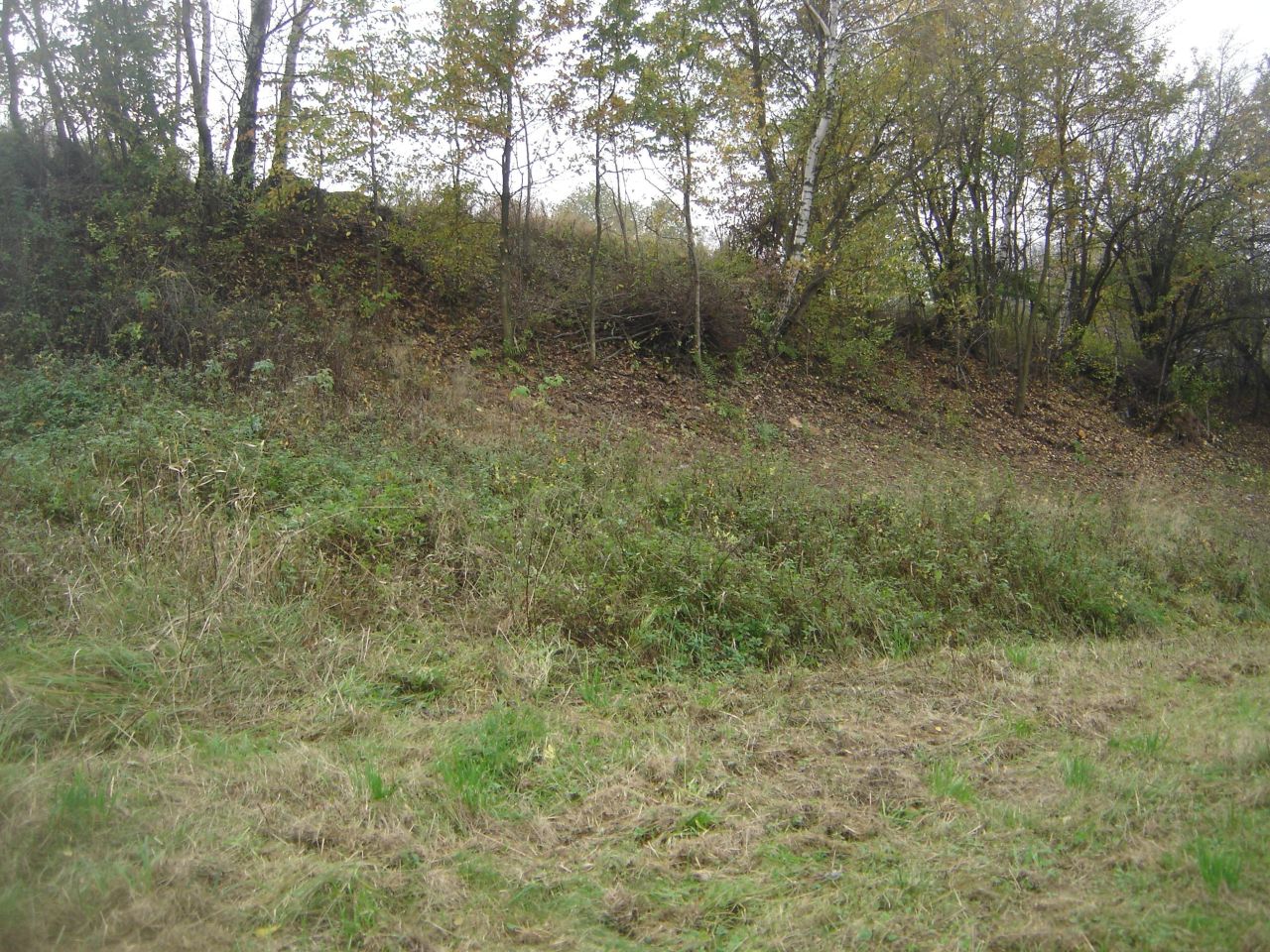 Działka rolna Błażowa Miasto, ul. Jagiellońska. Zdjęcie 8