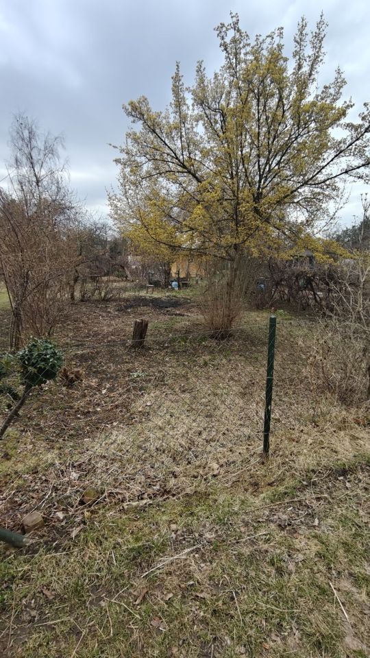 Działka rod Wrocław Śródmieście, ul. Odona Bujwida. Zdjęcie 3