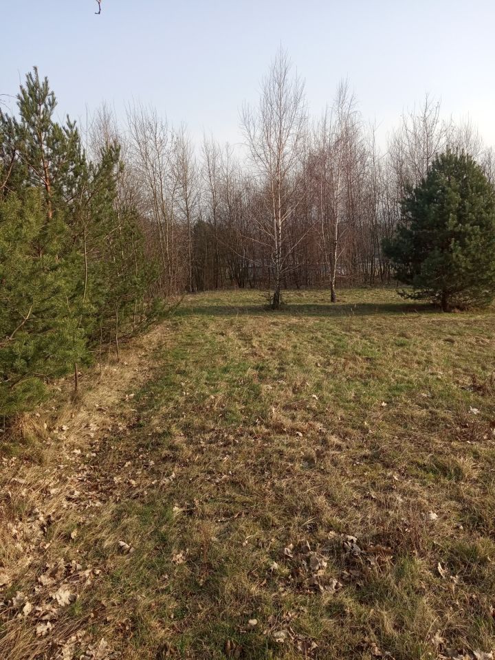 Działka budowlana Żurowa Nowy Świat. Zdjęcie 5