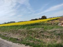 Działka siedliskowa Cedry Małe. Zdjęcie 4