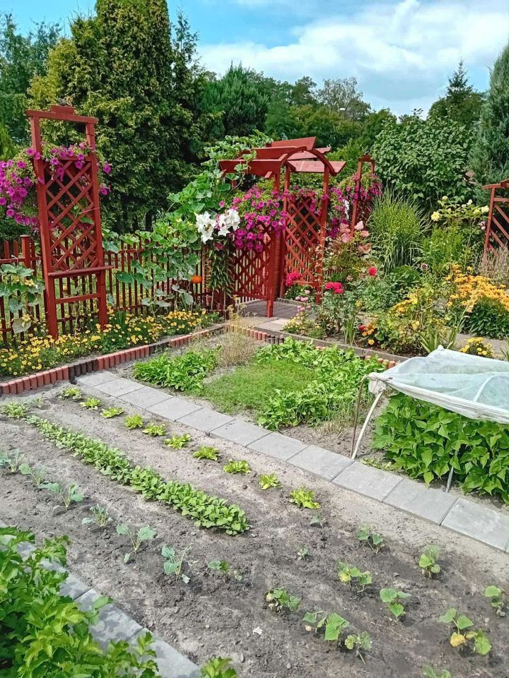 Działka rod Gliwice Kopernik. Zdjęcie 6