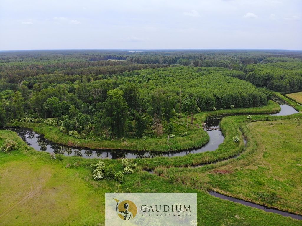 Działka Karszyn. Zdjęcie 6